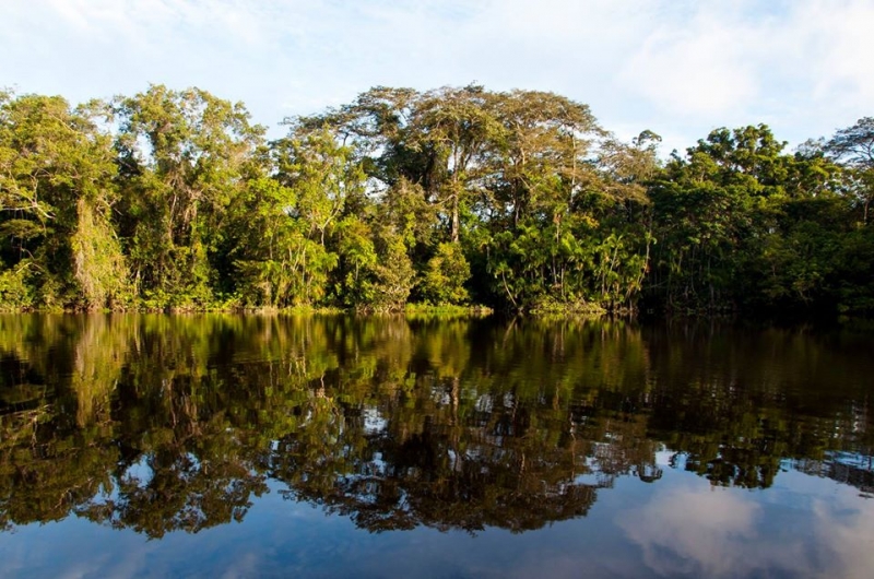 Laguna de Jatuncocha